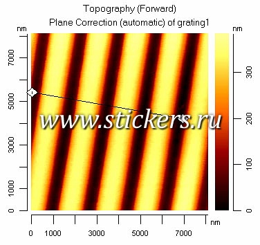 topography1.jpg